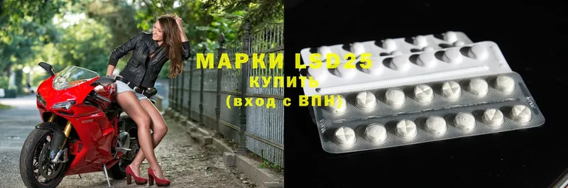 LSD-25 экстази кислота  Кедровый 